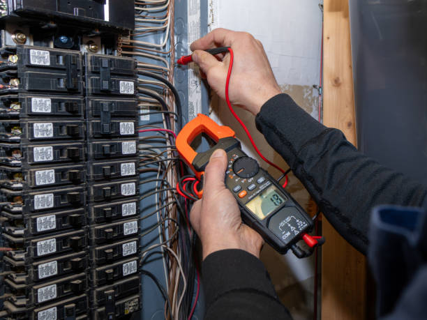 Best Electric Panel Repair  in Browns Mills, NJ